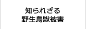 知られざる　野生鳥獣被害